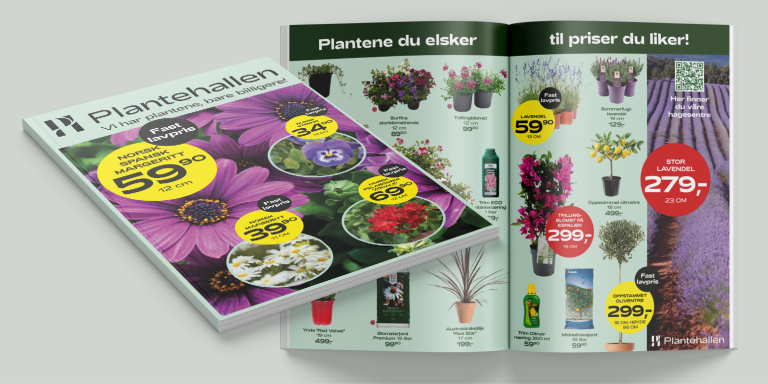 Bilde av DM fra Plantehallen